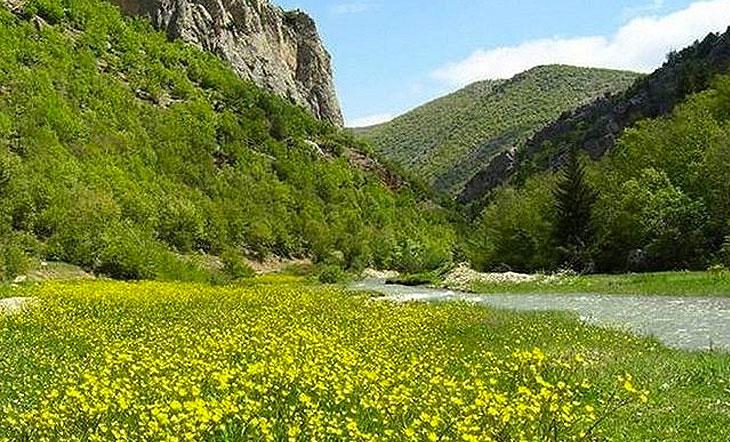 Zümrüt Renkli Toroslar'ın Yamacında Bir Yayla. Şimdi Altın Düğün Çiçekleriyle Kaplı