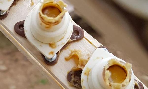 Arı sütü, Mevzu Basit, Üretim Zahmetli, Fiyatı Niye Pahalı?