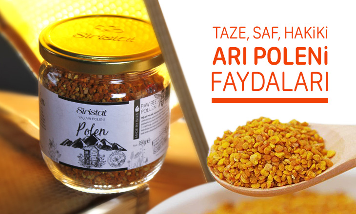 Arı Poleninin Sağlığa En Önemli 11 Faydası