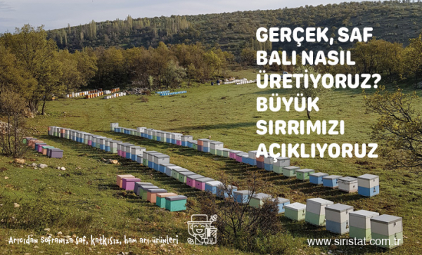 Saf Gerçek Balı Nasıl Üretiyoruz? Büyük Sırrımız