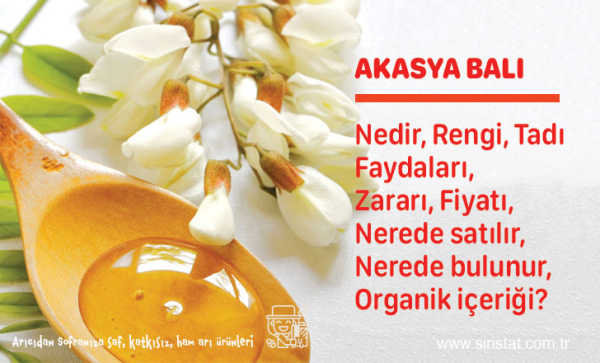 Akasya Balı Faydaları Kullanımı Organik İçeriği Nerede Satılır Bulunur Fiyatı
