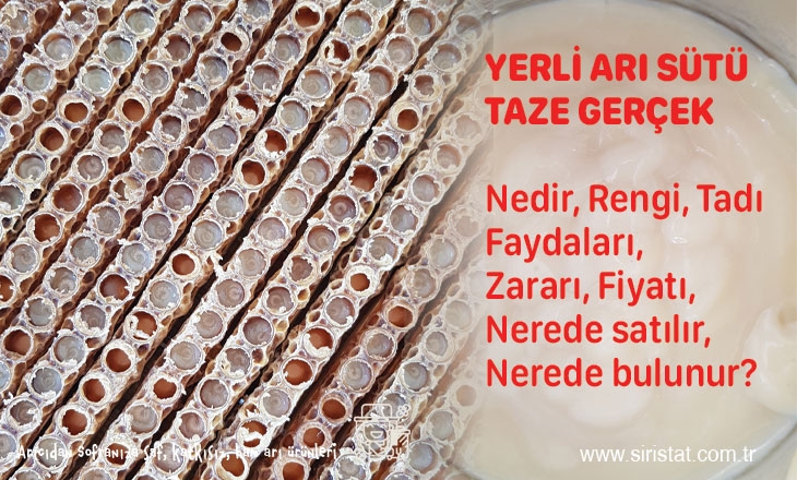 Yerli Taze Arı Sütü Üretici Arıcıdan Faydaları, Satışı  Fiyatı Kullanımı