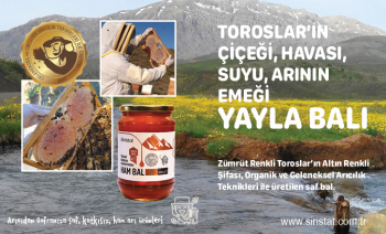 Yayla Balı Toroslar'ın Eteğinden Bin Bir Çiçeğin Özünden