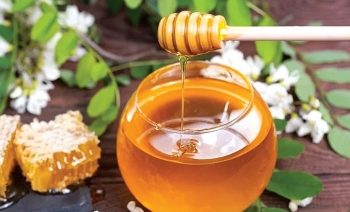 Akasya Balı Fiyatı: Lezzetin ve Şifanın Karşılığı