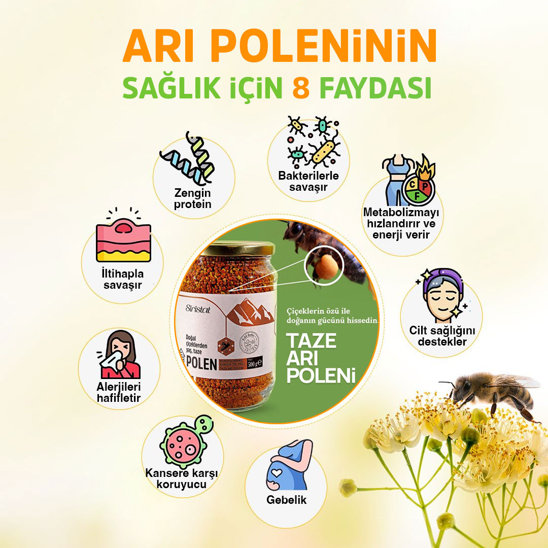 polen ne işe yarar faydaları nedir
