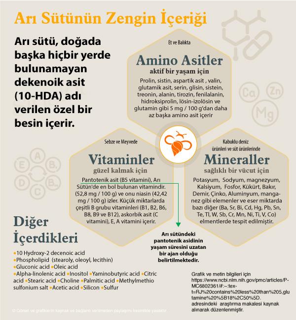 yerli taze en iyi marka arı sütü üretimi üreticisi nasıl elde edilir nereden alınır bulunur