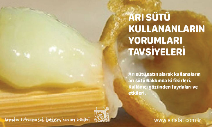 Arı sütü kullananların faydaları tavsiyesi etkileri