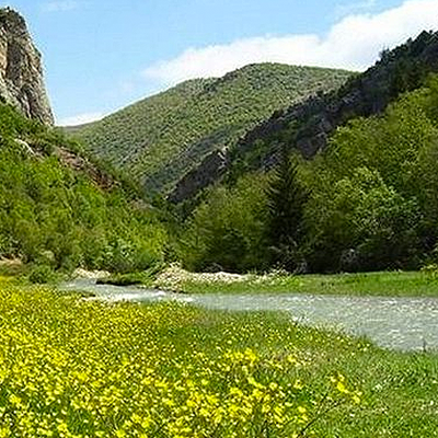 yayla balı konya ankara istanbul bursa antalya izmir
