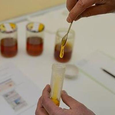 geçek orjinal saf bal nasıl bulunur anlaşılır yöntemleri