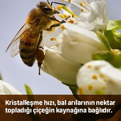 bal ne kadar surede kristalize olur şekerlenir donar