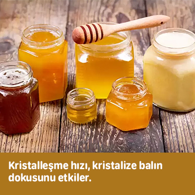kristalleşme hızı kristalize balın dokusunu etkiler